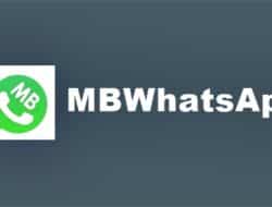 Fitur, Cara Pakai, dan Download MBWhatsApp Apk Terbaru 2021
