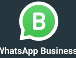 Download Whatsapp Business Apk Download Terbaru 2022